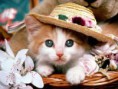 /album/fotogaleria/images-11-jpg/